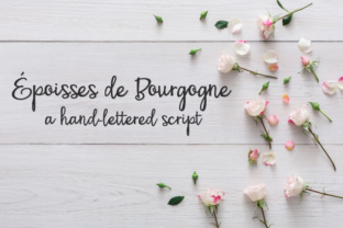 PN Époisses De Bourgogne: A Premium Script Font for Branding